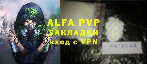 шишки Алзамай