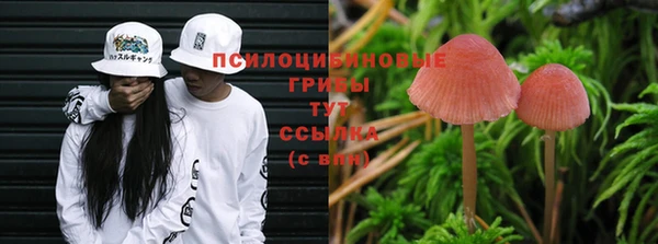 амфетамин Алексеевка