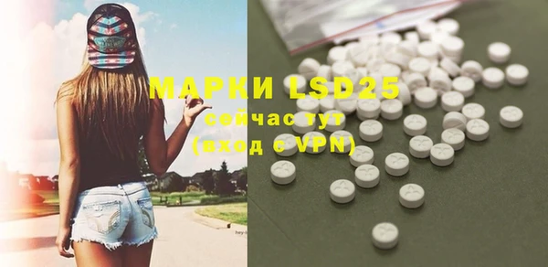шишки Алзамай