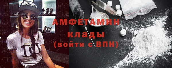 шишки Алзамай